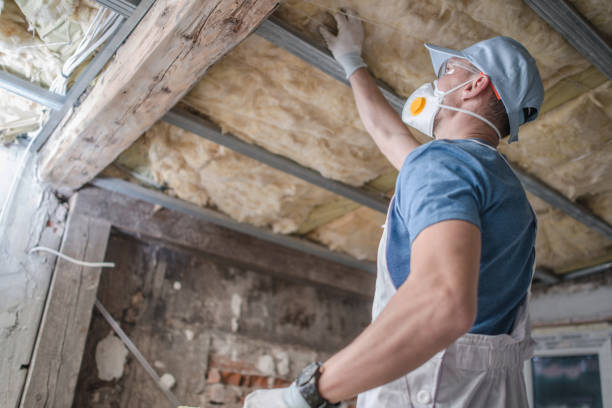 Best Insulation Installation Services in Greenfield, MN